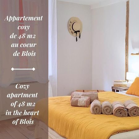 Blois City - Le Petit Louis XII Экстерьер фото