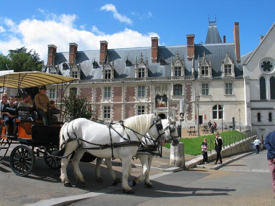 Blois City - Le Petit Louis XII Экстерьер фото