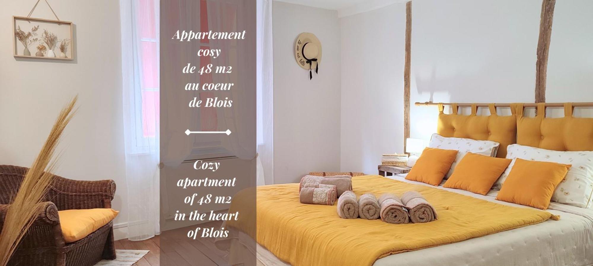 Blois City - Le Petit Louis XII Экстерьер фото